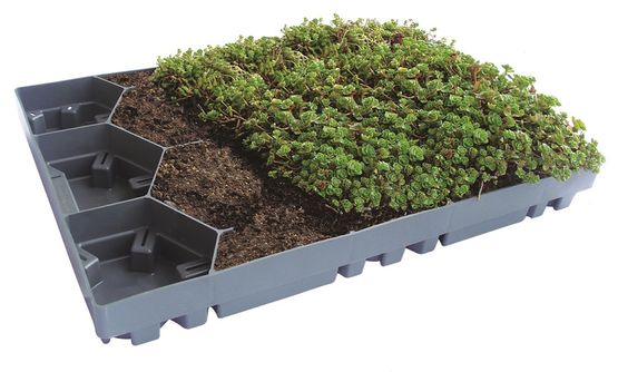  Dalle végétalisée pour toits plats ou en pente | ECOSEDUM PACK  - Végétalisation pour toitures en pente