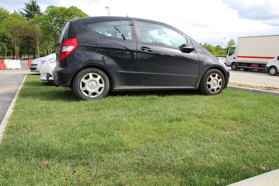 Dalles carrossables pour gazon | Nidagrass - produit présenté par NIDAPLAST