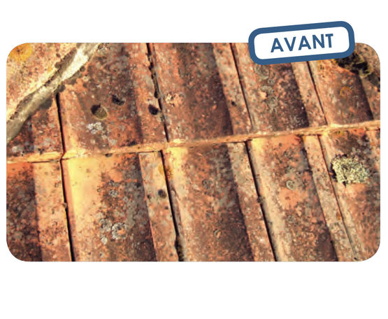 Décontaminant nouvelle génération pour matériaux poreux en toitures et façades ABBAClean Top_Avant l&#039;ABBA Clean Top