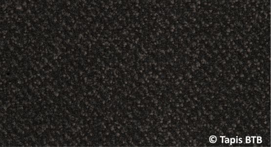  Delta Hydro TX | BTB Benoit le Tapis Brosse - Tapis d'accueil et de propreté