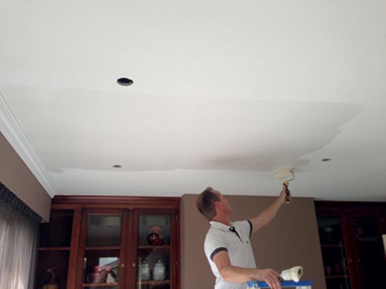  Dérouleur de revêtement de plafond sur support télescopique pour rouleau  - Protection temporaire de chantier
