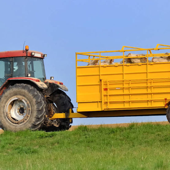  Désinfectant – germicide parfumé | CADENTIA GRÉSYLOR - CADENTIA