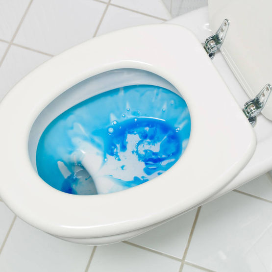  Détartrant gel WC suractif au pin | CADENTIA GEL WC - Produits et traitements nettoyants