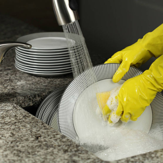  Détergent désinfectant liquide pour le lavage de la vaisselle à la main | CADENTIA LIQUIDE VAISSELLE BACTÉRICIDE - Produits et traitements nettoyants