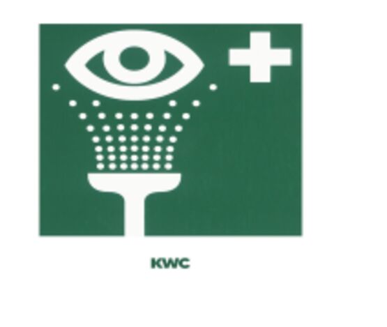  Douche oculo/faciale avec lavabo en plastique pour montage mural | FAID108 - Douche de tête pour collectivités