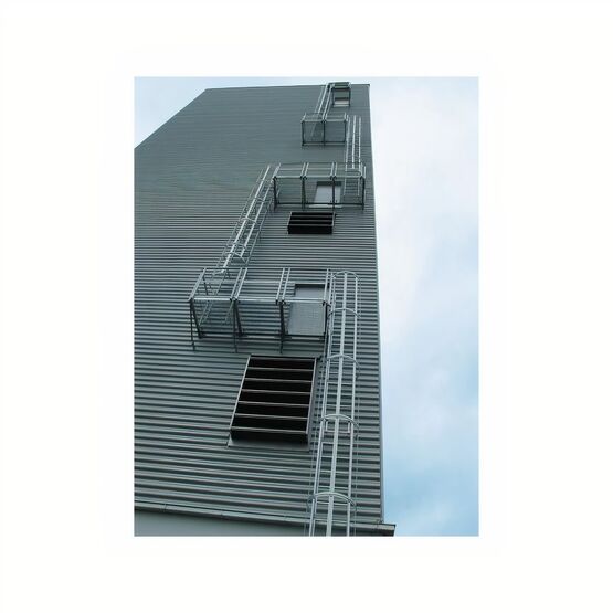 Échelles à crinolines | GENTNER ET FILS