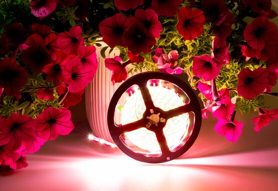  Eclairage précis pour mobilier et profilés étroits | Rubans LED 5 mm - Structures lumineuses