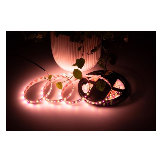 Eclairage universel pour mobilier et aménagements | Rubans LED 8 mm 