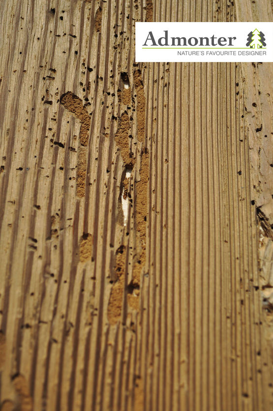  ELEMENTS Vieux bois extrème - Revêtements en matériaux naturels
