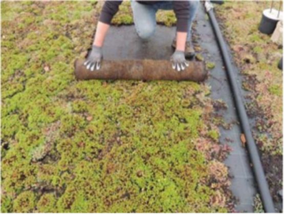  Étanchéité monocouche en bitume élastomère armé par une armature en  polyester stabilisé ou non tissé | IKO MONO FUSION - IKO AXTER