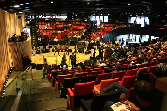  Fauteuil à assise escamotable pour salles de conférences  - Matériel pour salles et lieux de spectacle