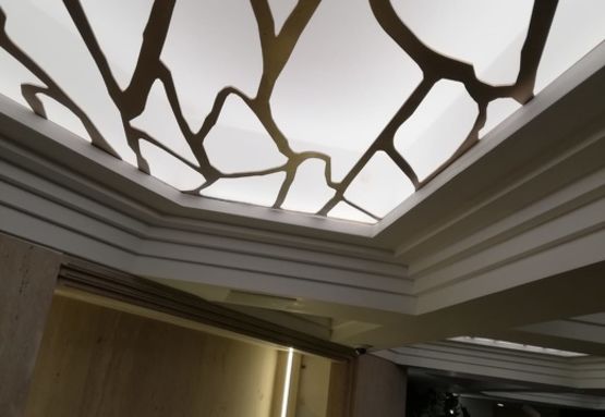  Faux plafonds de tôles perforées avec motif végétal | DAMPERE - DAMPERE SARL