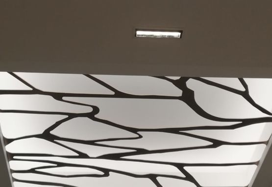 Faux plafonds de tôles perforées avec motif végétal | DAMPERE - produit présenté par DAMPERE SARL