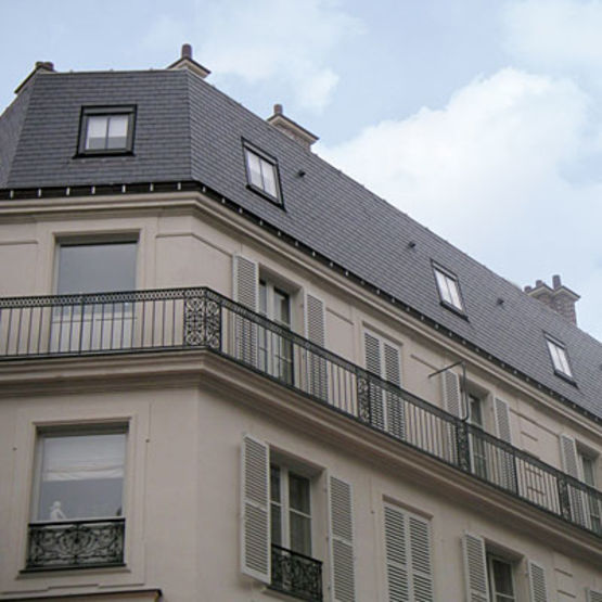  Fenêtres de toit avec meneaux | Fenêtre Patrimoine Nouvelle Génération - VELUX