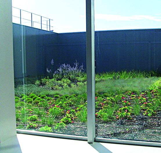 Feuille d&#039;étanchéité antiracines pour toit terrasse végétalisée | Sopranature AR