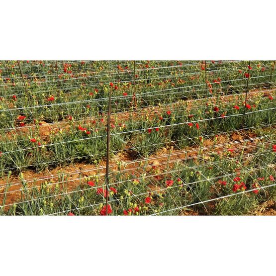  Filet à ramer et à tuteurer 17 x 15 cm | MEGADIS - Grille d'arbre