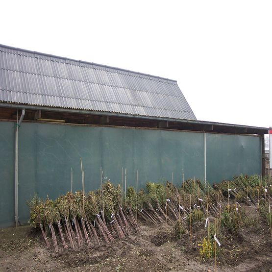 Filet brise vue 150g/m² pour clôture de chantier