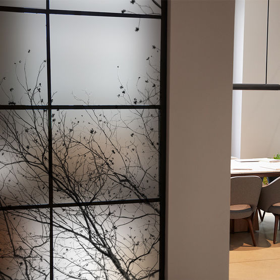 Films décoratifs pour vitrage | Nature - produit présenté par ACTE-DECO