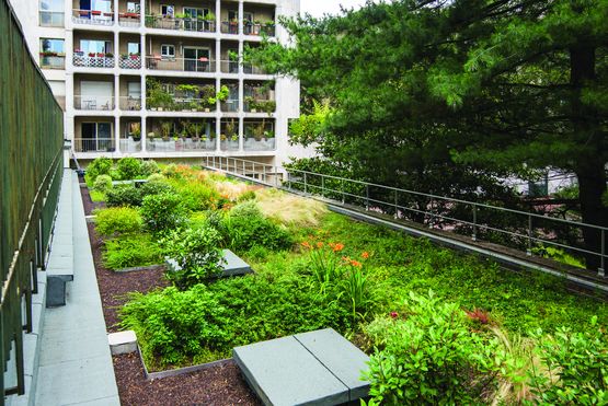 FT_Système de végétalisation rafraichissante en toiture terrasses urbaines | Sopranature Fresh - SOPREMA