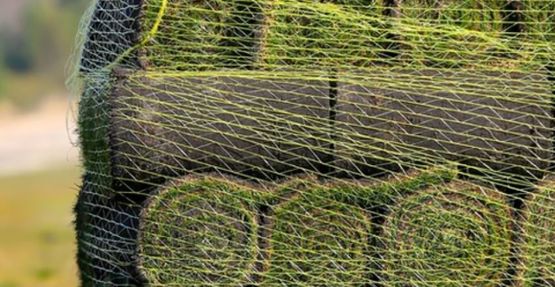  Gazon naturel en rouleau | COVER GARDEN - COVER GARDEN