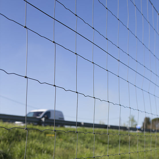  Grillage rouleau agricole galvanisé | Noué - QUAGLIA DIFFUSION