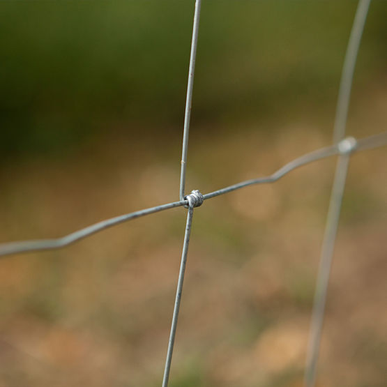  Grillage rouleau agricole galvanisé | Noué - Clôture métallique