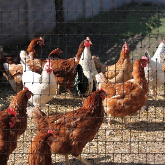  Grillage semi-rigide en polypropylène noir - maille 18 x 25 mm | Clotiflex - MEGADIS