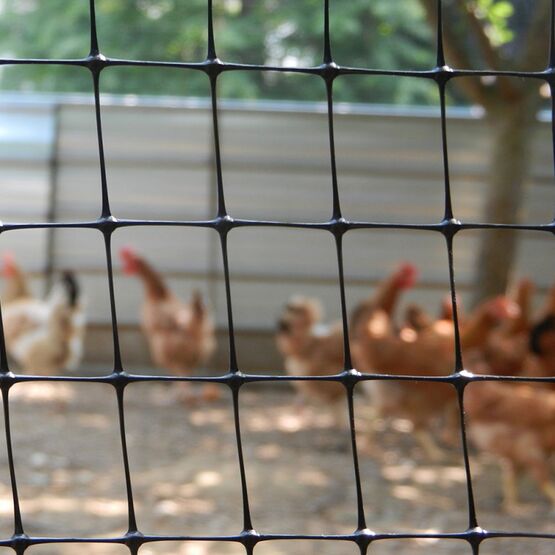  Grillage semi-rigide en polypropylène noir - maille 18 x 25 mm | Clotiflex - Clôture PVC