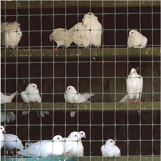  Grillage semi-rigide en polypropylène noir -  maille 22 x 35 mm | Clotiflex - Clôture PVC