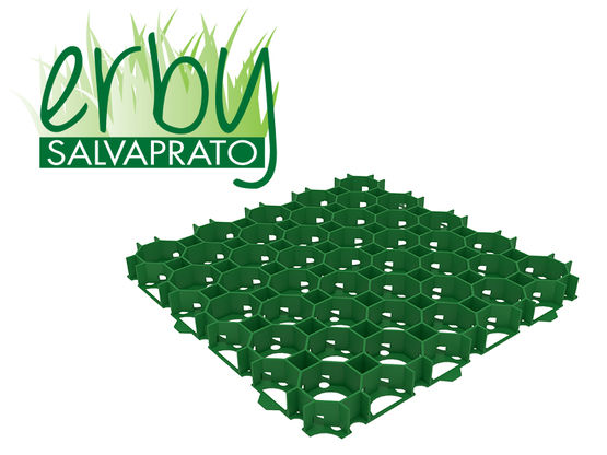 Grille de pavage pour véhicules avec pelouse | ERBY Salvaprato