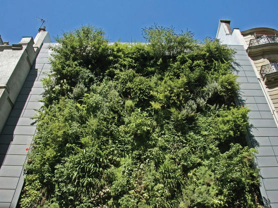  Grille pour la végétation verticale grimpante | V-Green® - Panneaux de façade végétalisés