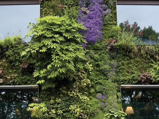 Grille pour la végétation verticale grimpante | V-Green® - produit présenté par DALIFORM GROUP