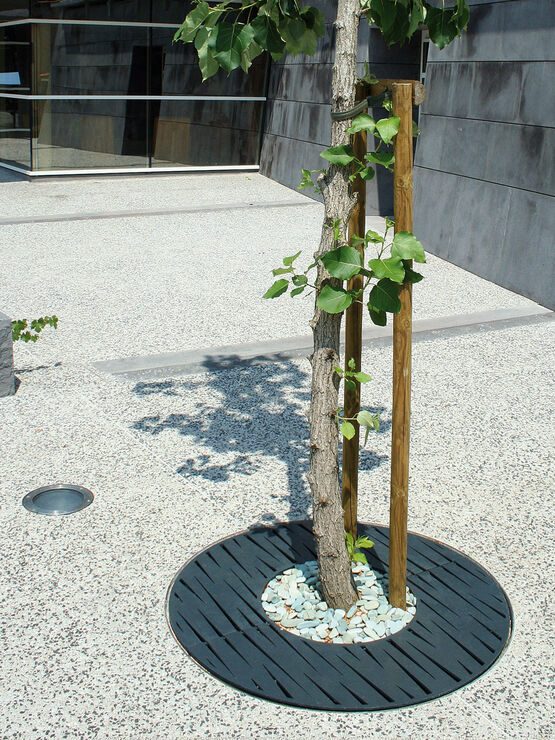  Grilles d&#039;arbres en acier thermolaqué | Evolution - Grille d'arbre