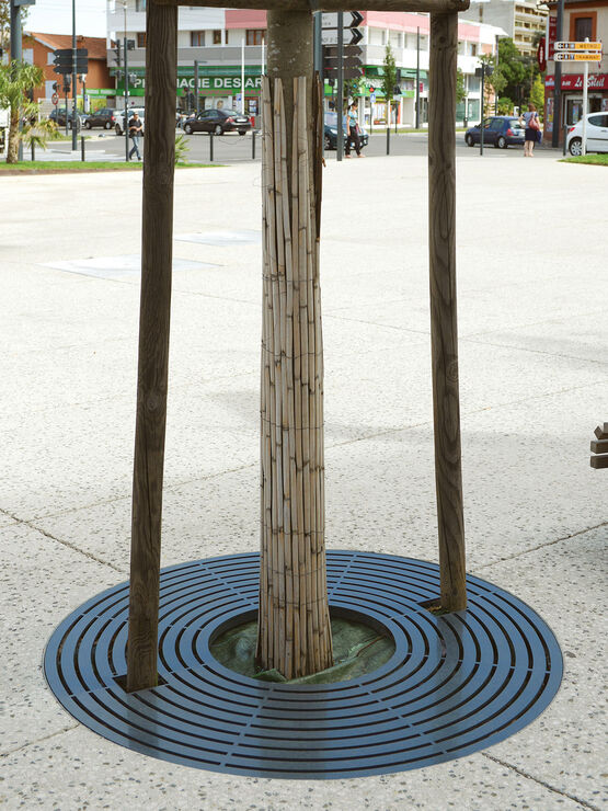  Grilles d&#039;arbres en acier thermolaqué | Synergie - UNIVERS & CITÉ