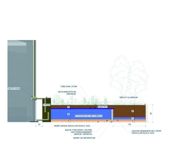Ilôt de fraicheur urbain végétalisé pour évapotranspiration des eaux pluviales | Jardin de pluie Urbain - JARDINS DE GALLY