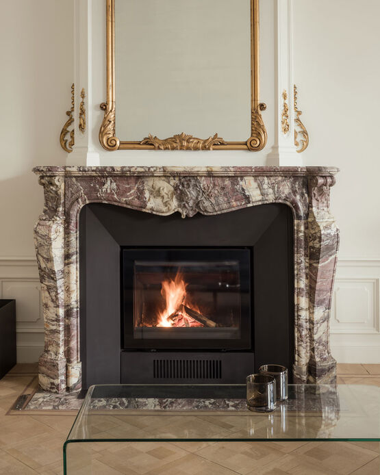  Insert bois avec simple face verticale et porte battante | Venus 730  - BEST FIRES