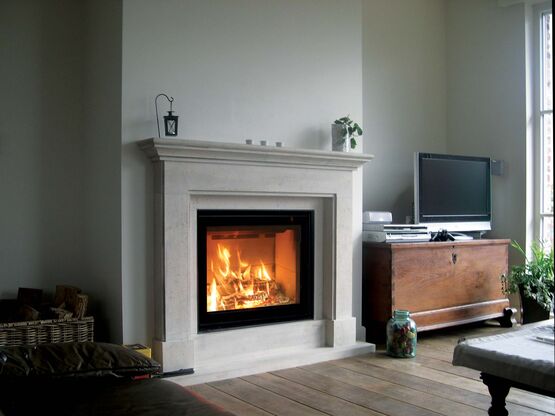 Insert bois avec simple face verticale et porte battante | Venus 730  - produit présenté par BEST FIRES