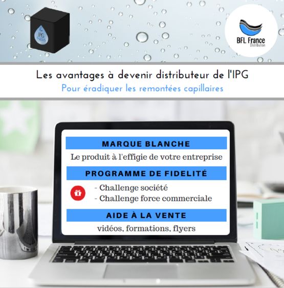 Inverseur de polarité géomagnétique IPG 30 BFL FRANCE