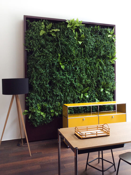 Jardin vertical sur mur ou façade par modules végétalisés | Vertiss plus  - produit présenté par NOVINTISS