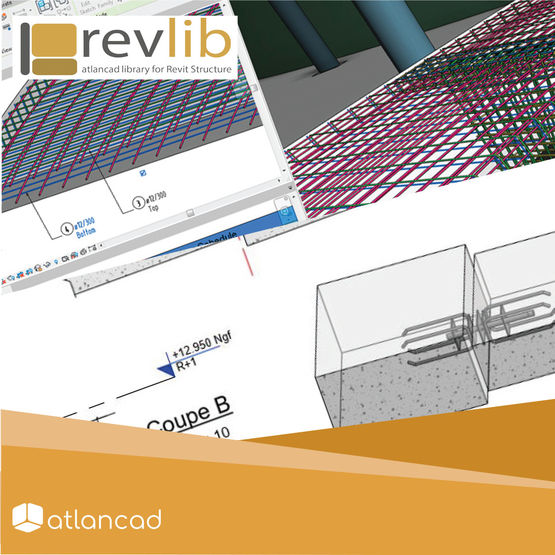 Revlib pour Revit Structure