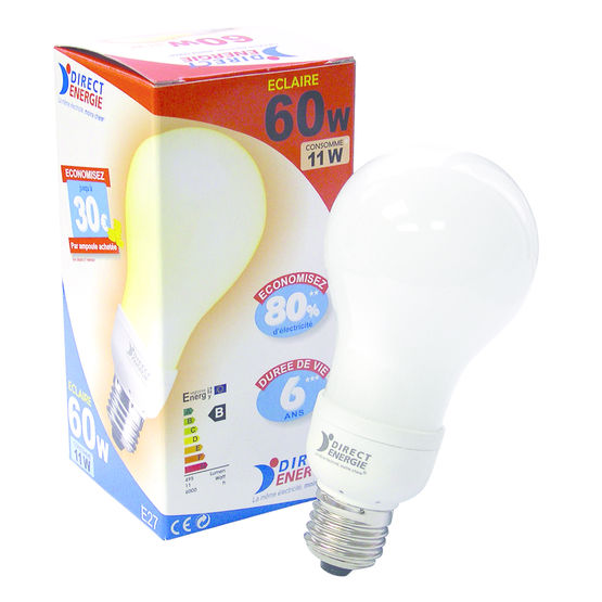 Lampe à économie d'énergie et culot à vis  Ampoule 60 W - SDG Industries  (Direct Energie)