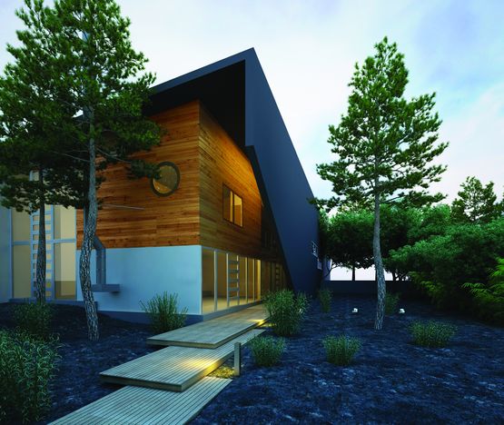  Lasure pour tous bois extérieurs verticaux | TECH-WOOD - BLANCHON