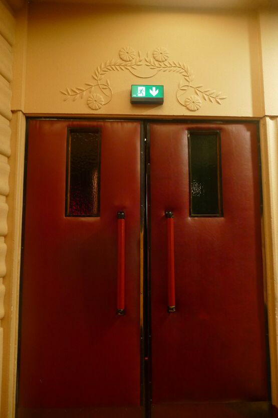  Luminaire d'éclairage de sécurité pour évacuations et ambiances | Vista2 Cinéma - BEHAR SÉCURITÉ