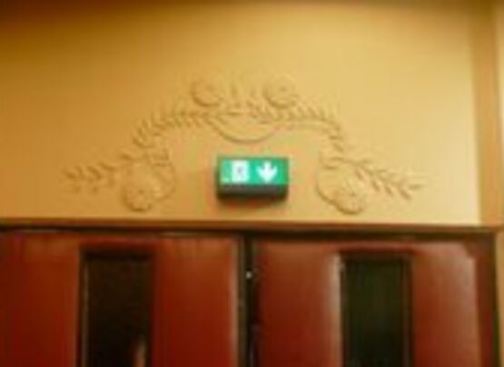 Luminaire d'éclairage de sécurité pour évacuations et ambiances | Vista2 Cinéma - produit présenté par BEHAR SÉCURITÉ