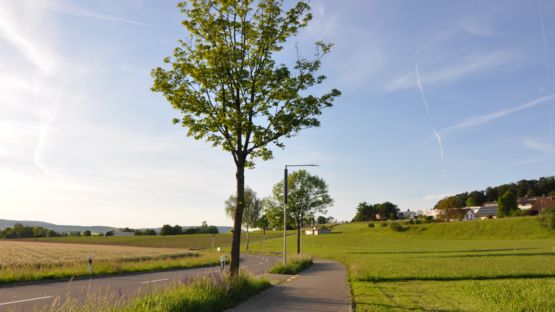 Luminaire solaire fonctionnel et urbain | ANTARES - produit présenté par SELUX