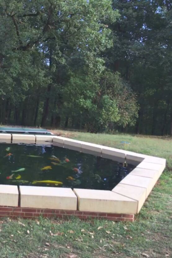 Margelle de piscine façon pierre - forme en U - produit présenté par ROUVIÈRE COLLECTION