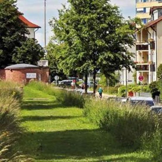Mélange de gazon rustique pour végétalisation de sites urbains | Euronature T.P.V.1