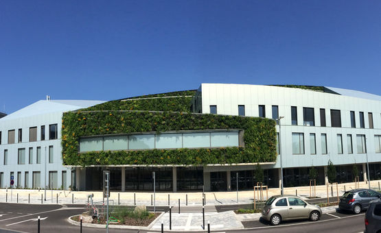  Mur végétalisé sur mesure | Vertiflore - Panneaux de façade végétalisés