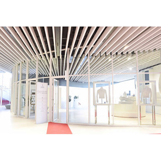  Murs rideaux coupe-feu ou pare-flammes jusqu&#039;à 120 minutes | Murs rideaux EI 30, EI 60, E-EW 30, E-EW 60, E-EW-90 et E-EW 120 - Rideaux coupe-feu