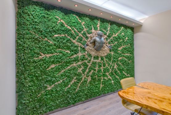 Murs végétaux stabilisés | Mosswall - HAZAN AMENAGEMENT
